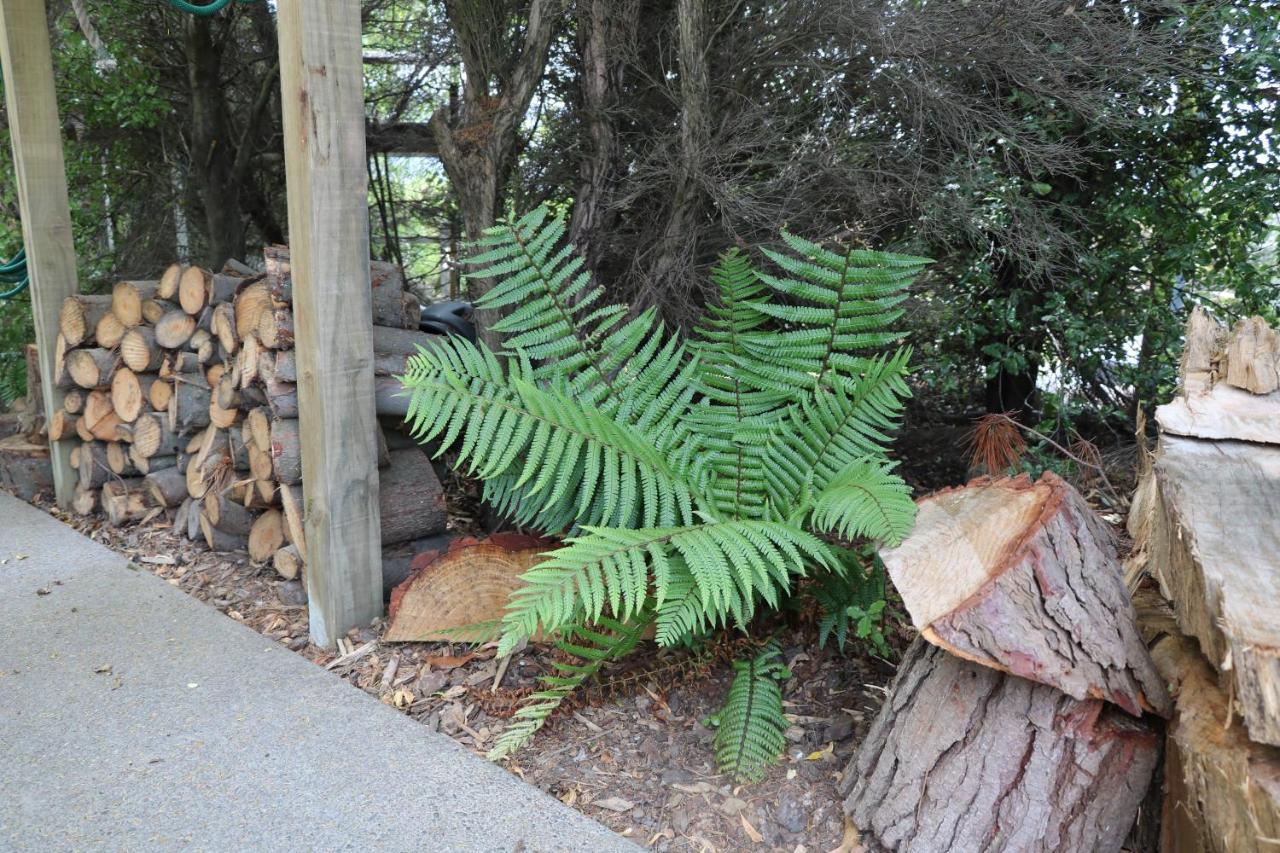 Church Bay Cabin: Sunny, Great Views Lyttelton Exterior photo