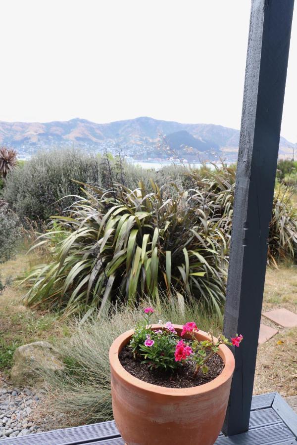 Church Bay Cabin: Sunny, Great Views Lyttelton Exterior photo