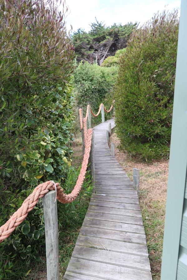 Church Bay Cabin: Sunny, Great Views Lyttelton Exterior photo