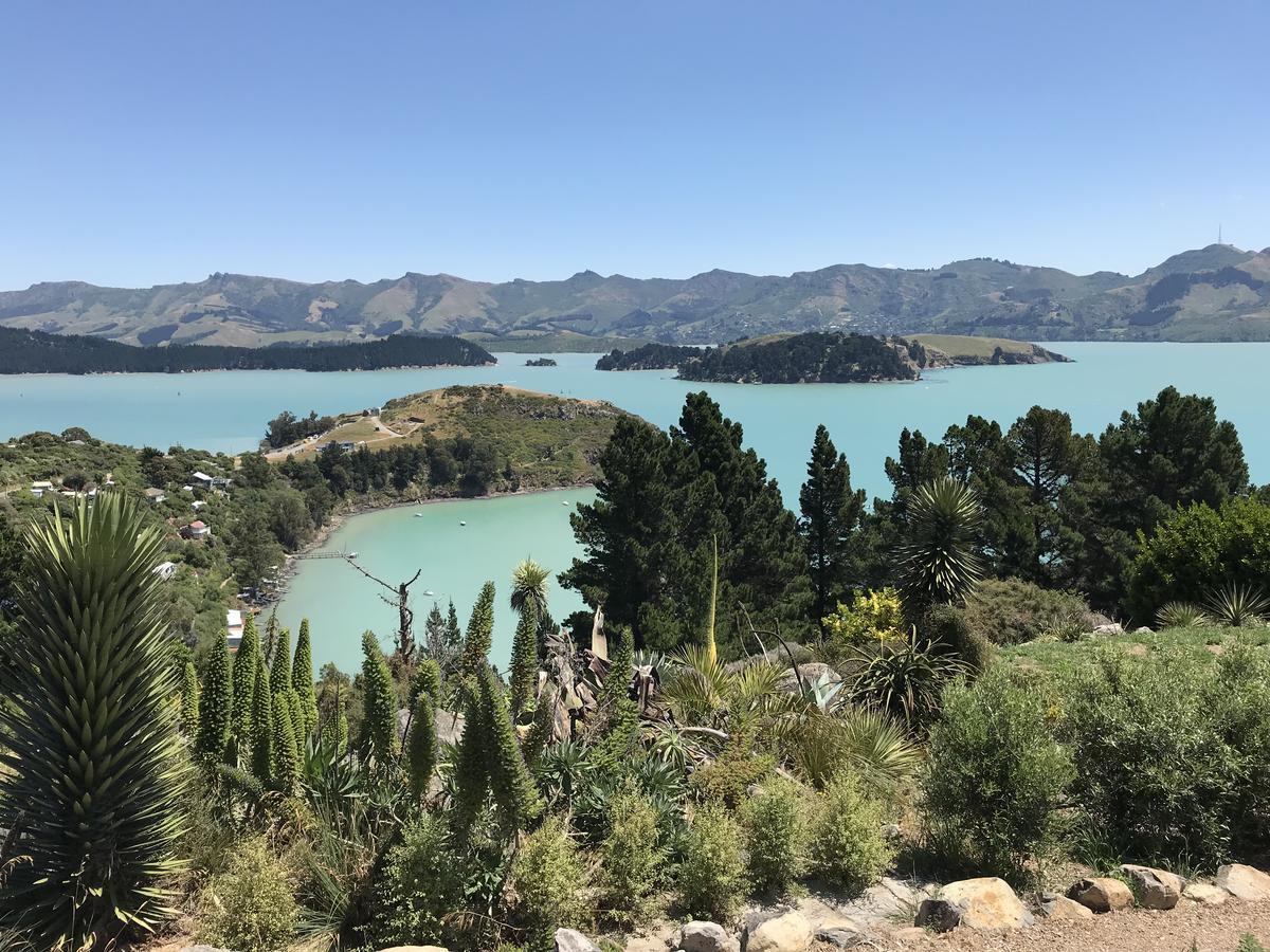 Church Bay Cabin: Sunny, Great Views Lyttelton Exterior photo