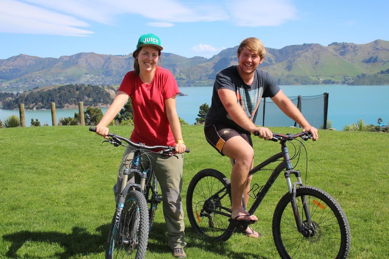 Church Bay Cabin: Sunny, Great Views Lyttelton Exterior photo